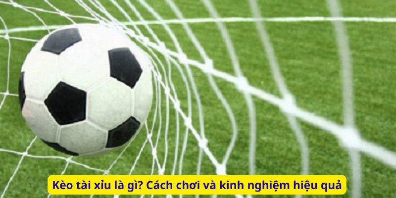 Kèo tài xỉu là gì? Cách chơi và kinh nghiệm hiệu quả